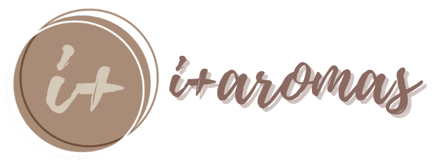 logotransp de título del head (200 x 200 px) (1)